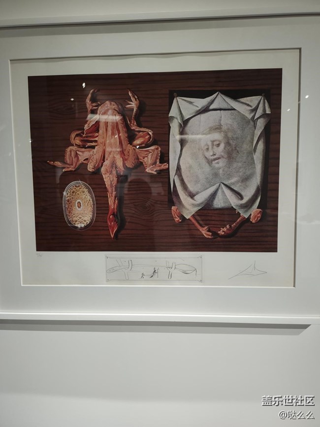 達(dá)利畫展觀后感