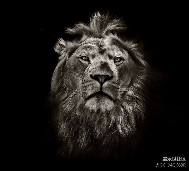 不用Bixby，我在自己家里找N9，喊它就能回答，怎么設(shè)置？