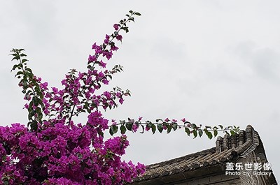 喜洲古鎮(zhèn)老宅