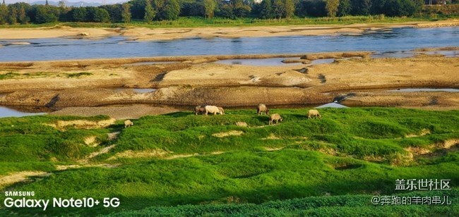 Note10系列用戶圖片精選 看看你被翻牌了嗎