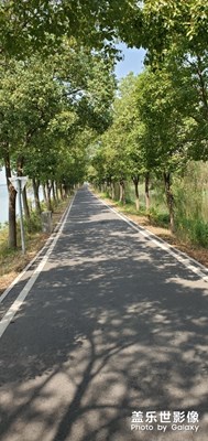 【武漢】秋高氣爽，一個沒有秋天的城市