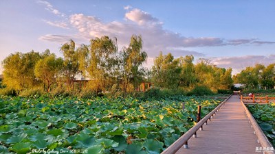 GalaxyS10+【淺秋麗影】（二）