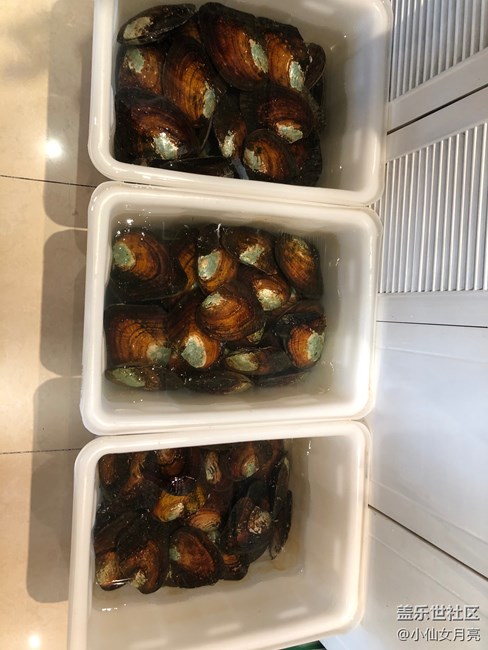 手上功夫～開蚌取珠