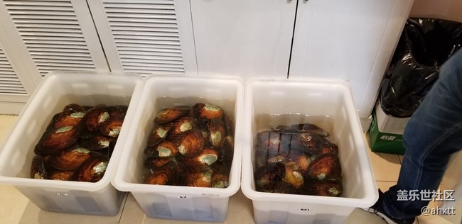 北京星部落9月線下活動(dòng)——手上功夫