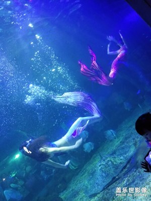 【歡度十一】+海立方美人魚(yú)