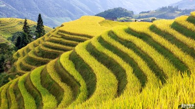 【國慶游記】+一組龍脊梯田美圖獻(xiàn)給偉大的祖國七十大壽