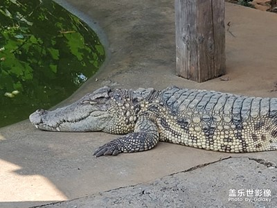 超廣角和遠(yuǎn)焦，眼中的??