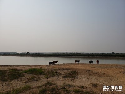 湖邊景色