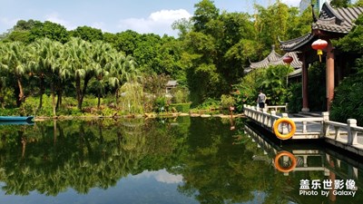 東莞人民公園，Note9的解析度和銳度都挺好