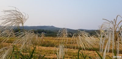 【國(guó)慶游記】神仙嶺風(fēng)電站