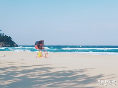 【Note8】海岸線小火車(chē)沿路隨拍