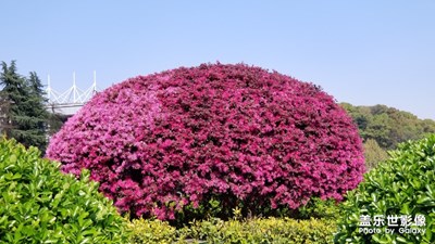 唯有美景、音樂和夢想不能辜負(fù)