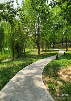 【S10+】生活隨拍