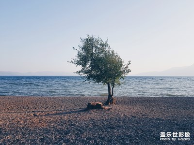 【Note8】冷門(mén)卻有內(nèi)涵的撫仙湖