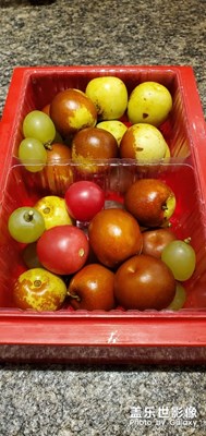 飯前小水果