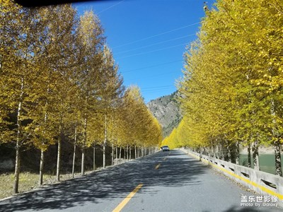 十一自駕途經(jīng)青海門源 路過祁連山腳下