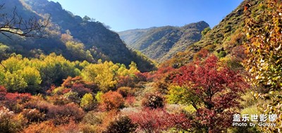 秋景正當(dāng)時(shí)