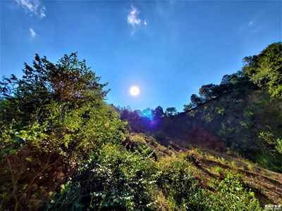 【Shot on SAMSUNG S10+】見，你所見！