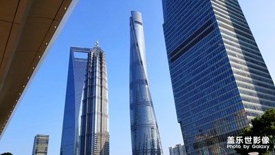 這里是上海