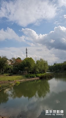 今日隨拍