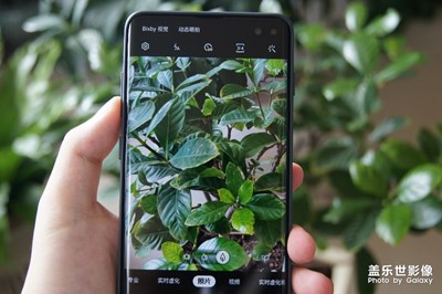 S10+升級后的拍照效果