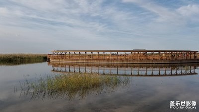 【愛在深秋】+居延海 自駕游