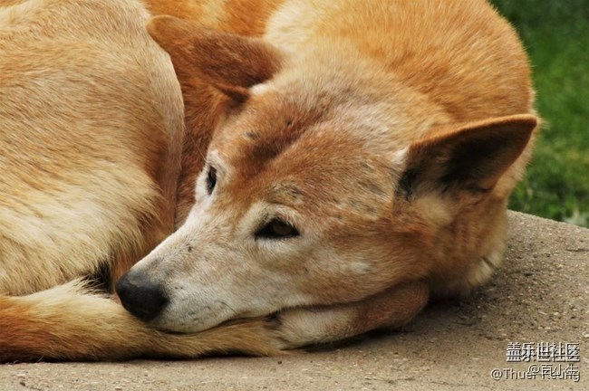 興趣部落活動第二期