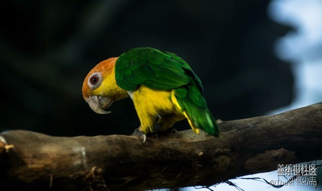 興趣部落活動第二期