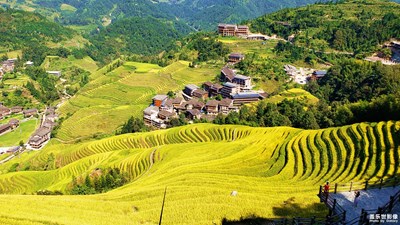 【愛(ài)在深秋】+龍脊梯田之平安寨