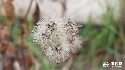 初秋隨手記