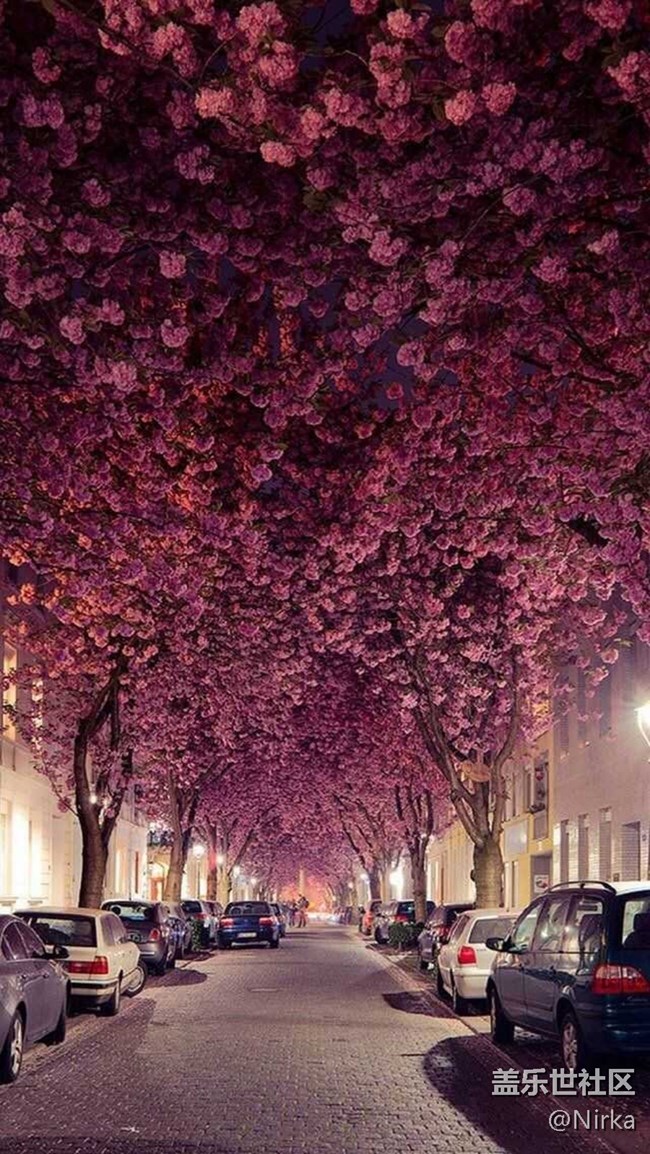 4k漂亮系列壁紙，現(xiàn)已打包上傳（61）