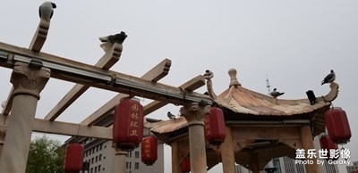 薩拉沁廣場