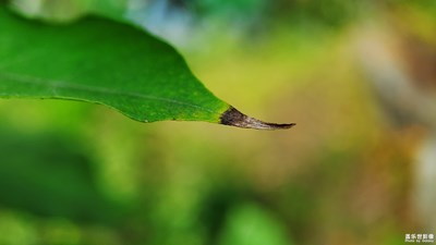 【愛在深秋】+十月s10雜拍