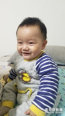 蛋蛋