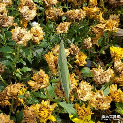 午后
