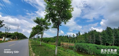 盈盈一水間，佳景觀歷歷 。
