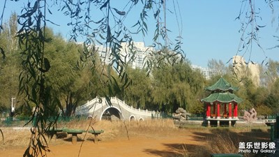 【愛(ài)在深秋】+秋日健步行走隨手拍
