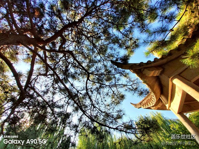 有顏有料 三星Galaxy A90 5G體驗