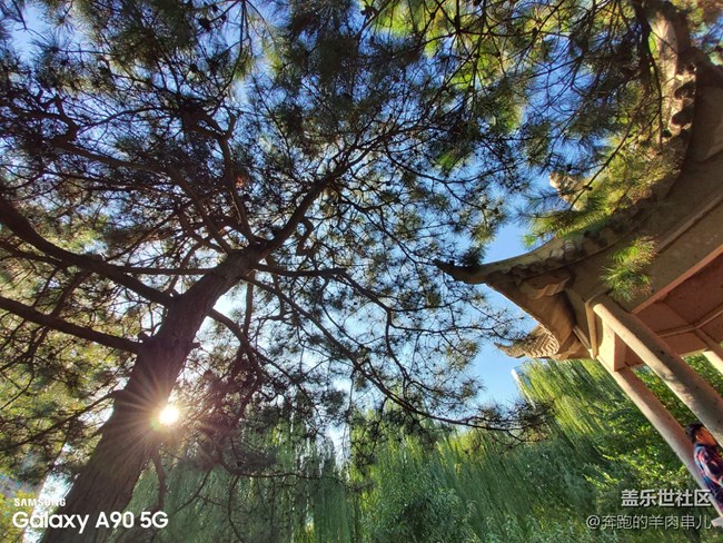 有顏有料 三星Galaxy A90 5G體驗