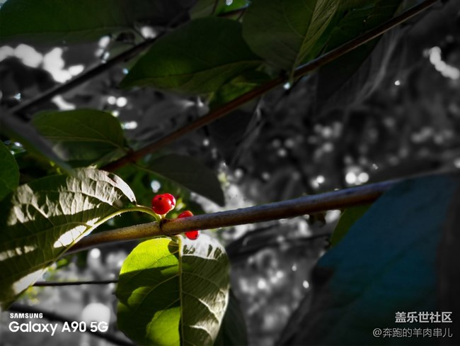 有顏有料 三星Galaxy A90 5G體驗