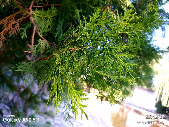 有顏有料 三星Galaxy A90 5G體驗