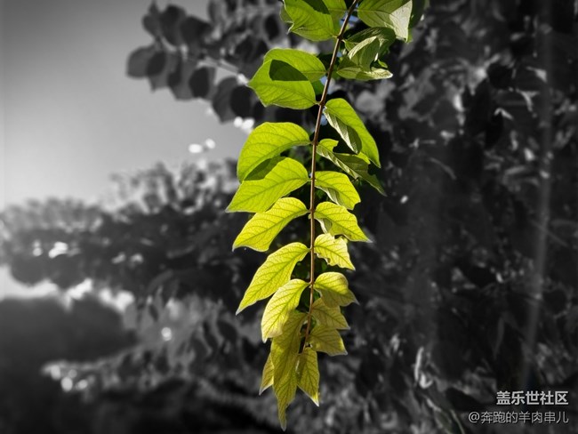 有顏有料 三星Galaxy A90 5G體驗