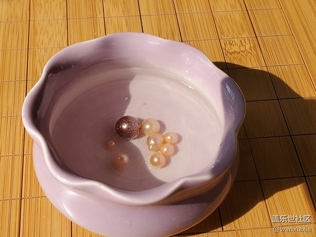 【活動(dòng)回顧】珍珠開蚌DIY活動(dòng)