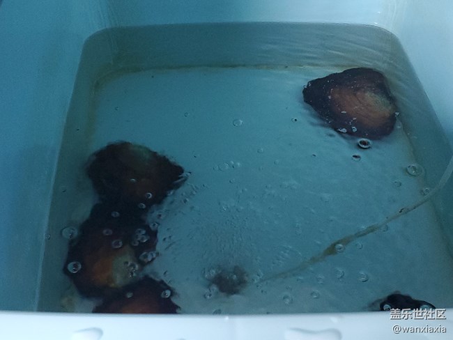 【活動(dòng)回顧】珍珠開蚌DIY活動(dòng)