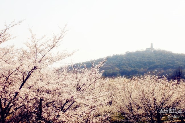 【去秋游啦】蘇州星部落 10.27 上方山燒烤活動招募