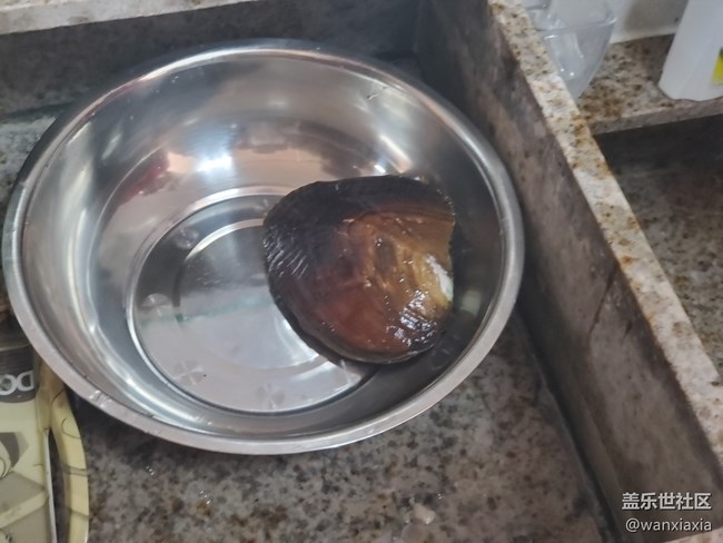 【活動(dòng)回顧】珍珠開蚌DIY活動(dòng)