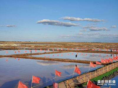 鹽湖城