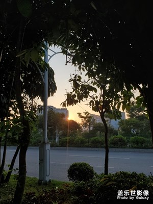 【瑰麗時分】+ 早晨寶安