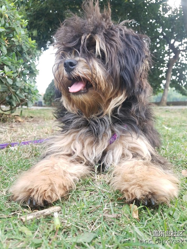 我家的“小七月”