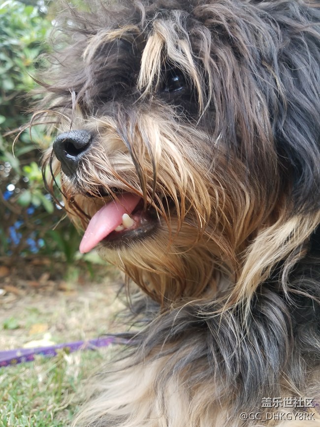 我家的“小七月”